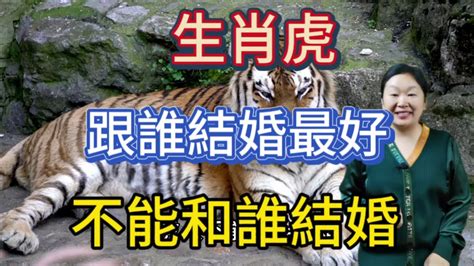 屬虎跟什麼生肖不合|屬虎和哪些屬相相剋 和誰天生不合